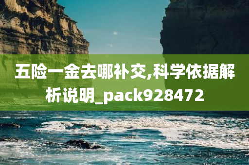 五险一金去哪补交,科学依据解析说明_pack928472