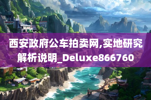 西安政府公车拍卖网,实地研究解析说明_Deluxe866760