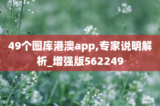 49个图库港澳app,专家说明解析_增强版562249