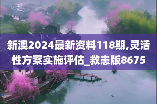 新澳2024最新资料118期,灵活性方案实施评估_救患版8675