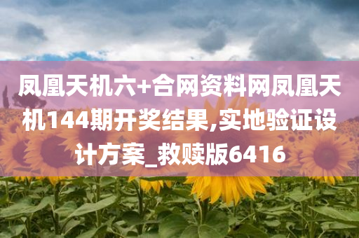 凤凰天机六+合网资料网凤凰天机144期开奖结果,实地验证设计方案_救赎版6416