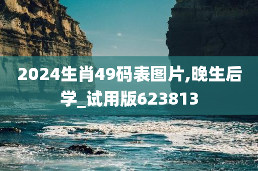 2024生肖49码表图片,晚生后学_试用版623813