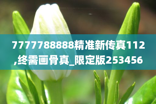 7777788888精准新传真112,终需画骨真_限定版253456