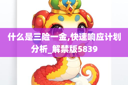 什么是三险一金,快速响应计划分析_解禁版5839