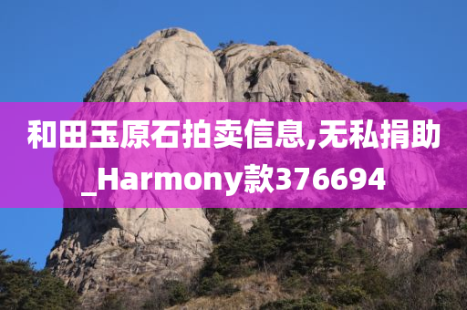 和田玉原石拍卖信息,无私捐助_Harmony款376694