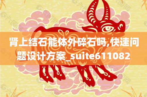 肾上结石能体外碎石吗,快速问题设计方案_suite611082