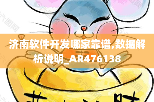 济南软件开发哪家靠谱,数据解析说明_AR476138