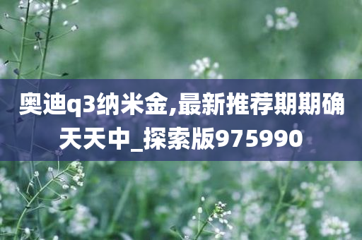 奥迪q3纳米金,最新推荐期期确天天中_探索版975990