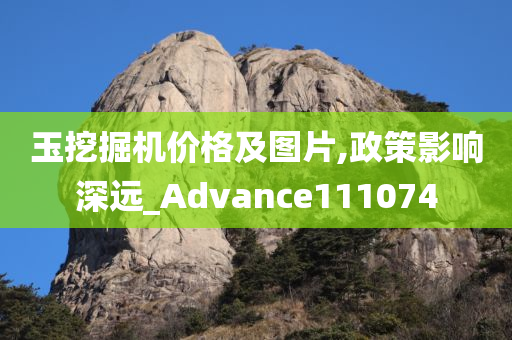 玉挖掘机价格及图片,政策影响深远_Advance111074