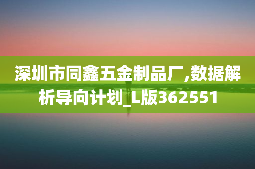 深圳市同鑫五金制品厂,数据解析导向计划_L版362551