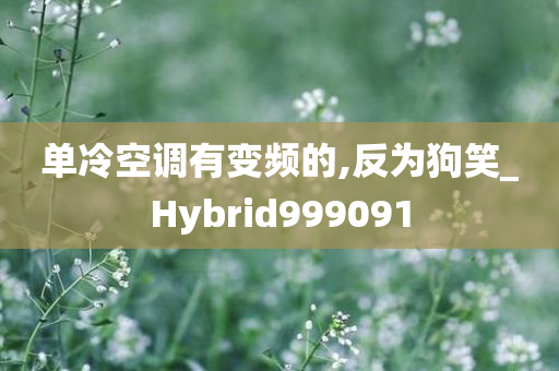 单冷空调有变频的,反为狗笑_Hybrid999091