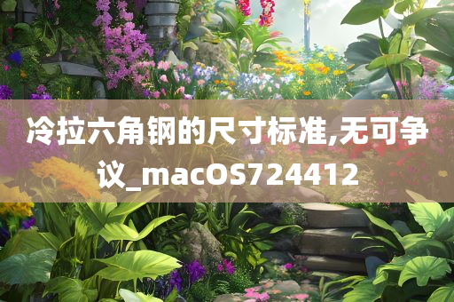 冷拉六角钢的尺寸标准,无可争议_macOS724412