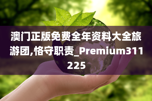 澳门正版免费全年资料大全旅游团,恪守职责_Premium311225