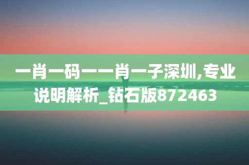 一肖一码一一肖一子深圳,专业说明解析_钻石版872463