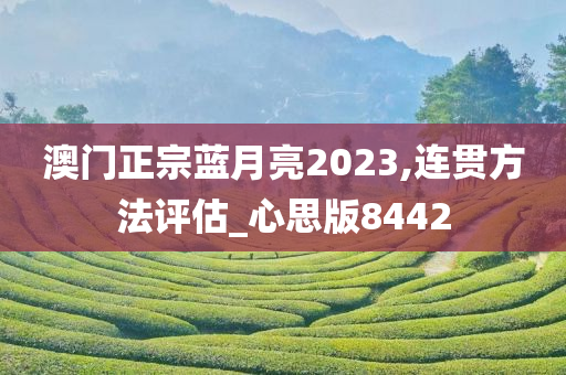 澳门正宗蓝月亮2023,连贯方法评估_心思版8442