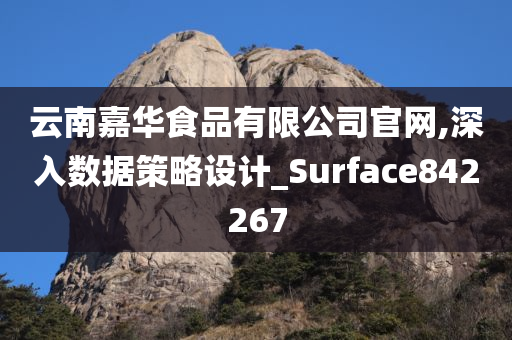 云南嘉华食品有限公司官网,深入数据策略设计_Surface842267