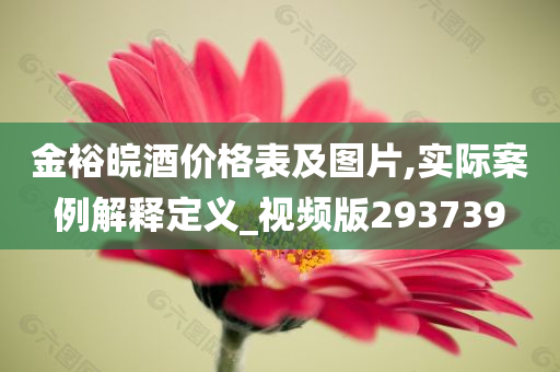 金裕皖酒价格表及图片,实际案例解释定义_视频版293739