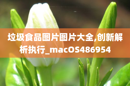 垃圾食品图片图片大全,创新解析执行_macOS486954