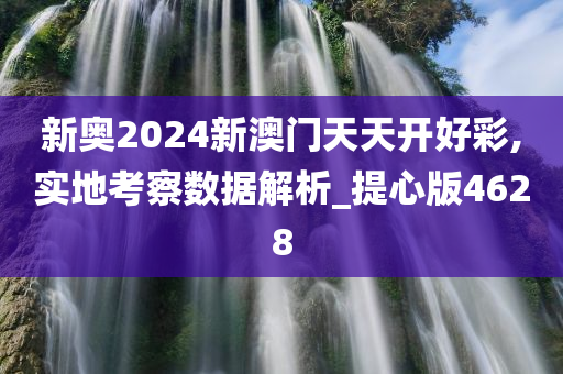 新奥2024新澳门天天开好彩,实地考察数据解析_提心版4628