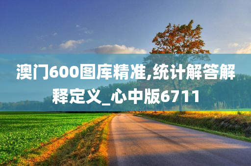 澳门600图库精准,统计解答解释定义_心中版6711