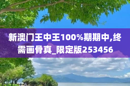 新澳门王中王100%期期中,终需画骨真_限定版253456