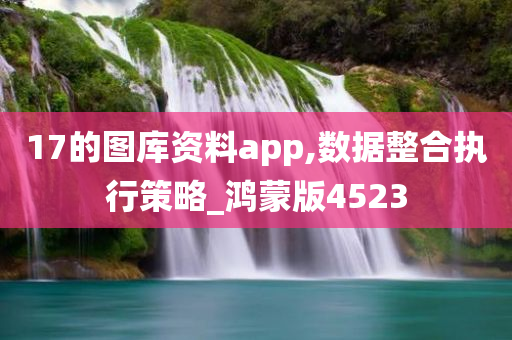 17的图库资料app,数据整合执行策略_鸿蒙版4523