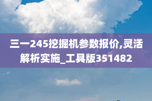 三一245挖掘机参数报价,灵活解析实施_工具版351482