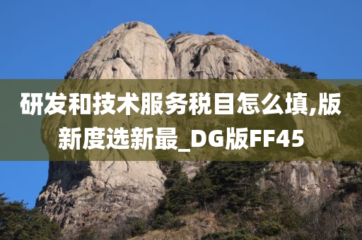 研发和技术服务税目怎么填,版新度选新最_DG版FF45