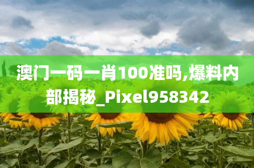 澳门一码一肖100准吗,爆料内部揭秘_Pixel958342