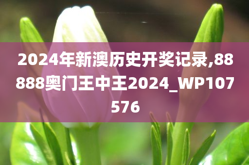 2024年新澳历史开奖记录,88888奥门王中王2024_WP107576