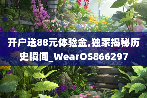 开户送88元体验金,独家揭秘历史瞬间_WearOS866297