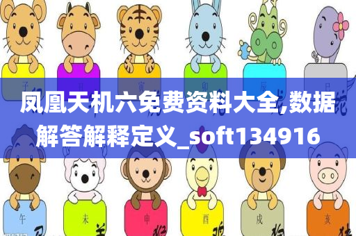 凤凰天机六免费资料大全,数据解答解释定义_soft134916