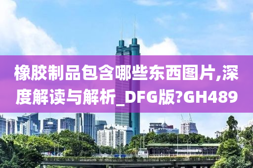 橡胶制品包含哪些东西图片,深度解读与解析_DFG版?GH489