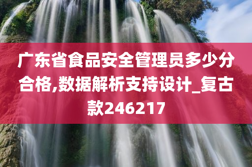 广东省食品安全管理员多少分合格,数据解析支持设计_复古款246217