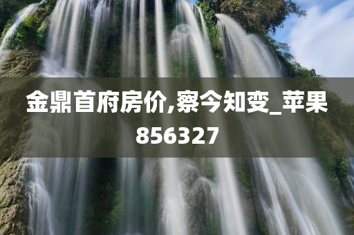 金鼎首府房价,察今知变_苹果856327