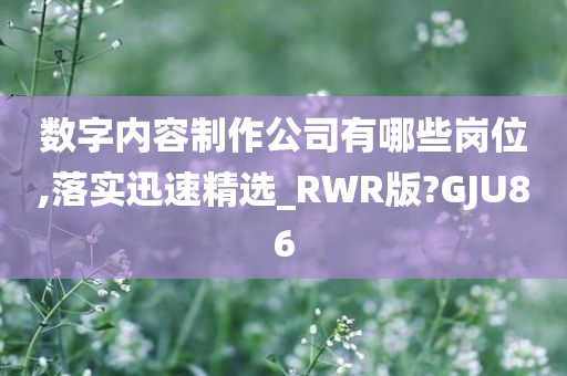 数字内容制作公司有哪些岗位,落实迅速精选_RWR版?GJU86