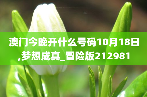 澳门今晚开什么号码10月18日,梦想成真_冒险版212981