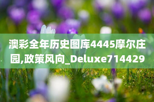 澳彩全年历史图库4445摩尔庄园,政策风向_Deluxe714429