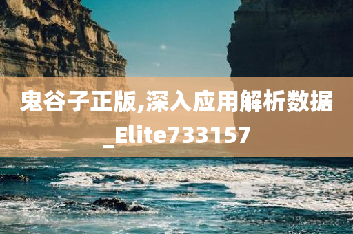 鬼谷子正版,深入应用解析数据_Elite733157