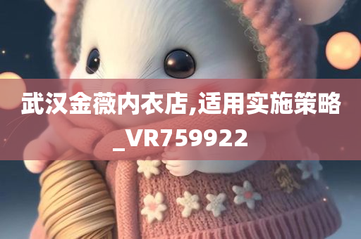 武汉金薇内衣店,适用实施策略_VR759922