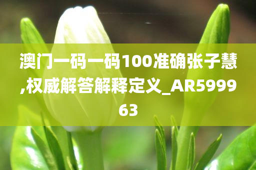 澳门一码一码100准确张子慧,权威解答解释定义_AR599963