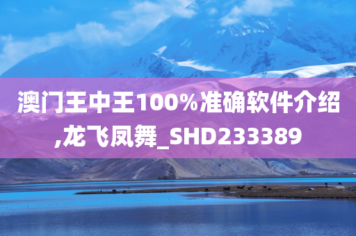 澳门王中王100%准确软件介绍,龙飞凤舞_SHD233389