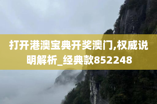 打开港澳宝典开奖澳门,权威说明解析_经典款852248