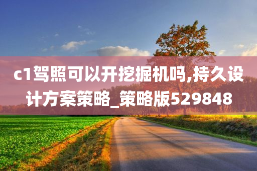 c1驾照可以开挖掘机吗,持久设计方案策略_策略版529848