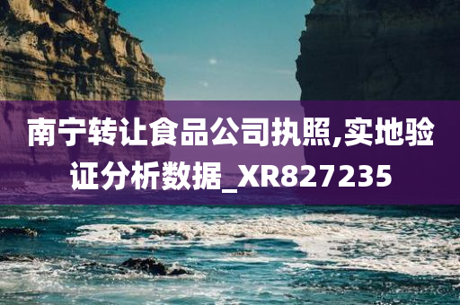 南宁转让食品公司执照,实地验证分析数据_XR827235