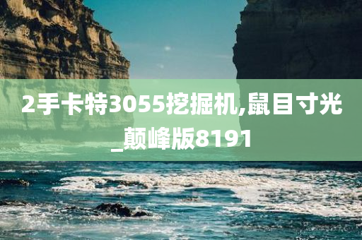 2手卡特3055挖掘机,鼠目寸光_颠峰版8191