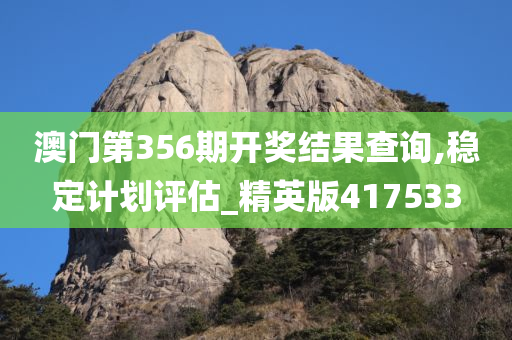 澳门第356期开奖结果查询,稳定计划评估_精英版417533