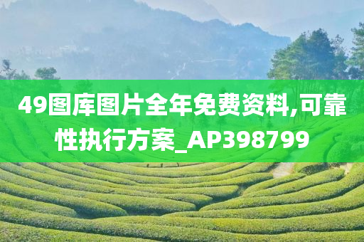 49图库图片全年免费资料,可靠性执行方案_AP398799