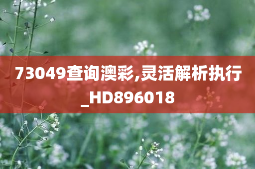 73049查询澳彩,灵活解析执行_HD896018