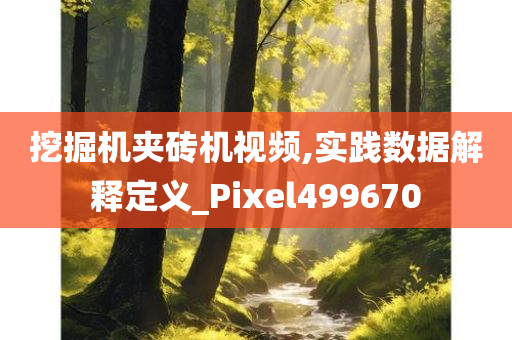 挖掘机夹砖机视频,实践数据解释定义_Pixel499670